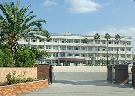 広島市立南観音小学校？152m