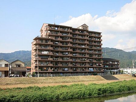 現地