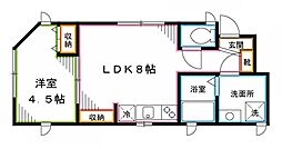 M&Mハイム 1LDKの間取図画像