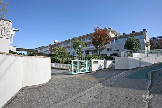 天白中学校[公...