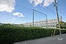 周辺：山根小学校[公立]の外観