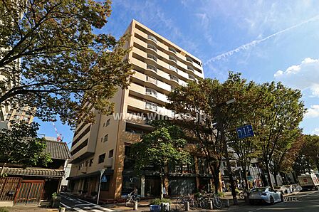 チサンマンション栄リバーパークの外観(北西側から)
