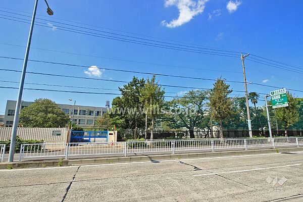 周辺を拡大表示