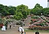 周辺：光綾公園1304m