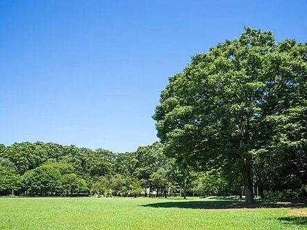 東京都立砧公園まで約870m