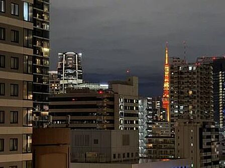 住戸からの眺望。東京タワーが望めます。