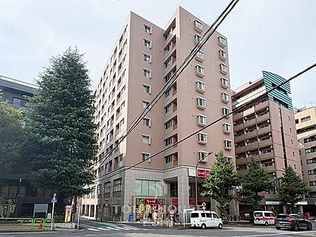 リノベーション物件。最上階・南向き住戸。陽当り・眺望・通風良好。ペット飼育相談可