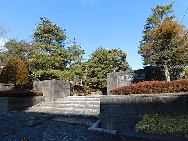 周辺を拡大表示