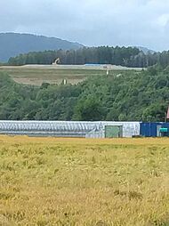 北海道余市郡仁木町長沢南109の土地画像