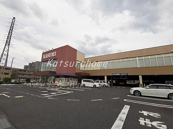 千葉県流山市おおたかの森北1丁目(賃貸マンション2LDK・1階・54.54㎡)の写真 その20