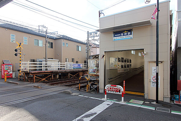 周辺を拡大表示