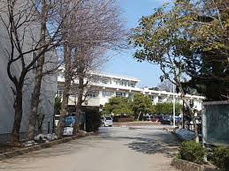 千葉市立小中台中学校(約1500m)