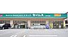 周辺：ドラッグセイムス 本郷町店（約1300m）