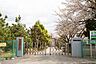周辺：市川市立中国分小学校（約70m）