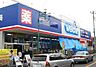 周辺：ウエルシア薬局市川東国分店（約1500m）