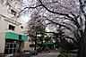 周辺：千葉市立 緑町中学校（約1700m）