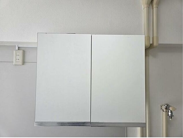 収納 東池袋パレス 11階/-