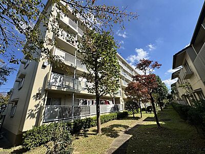 外観：三郷早稲田団地３−４−２号棟
