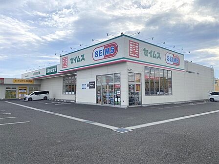 ドラッグセイムス 仙台若林4丁目店(689m)