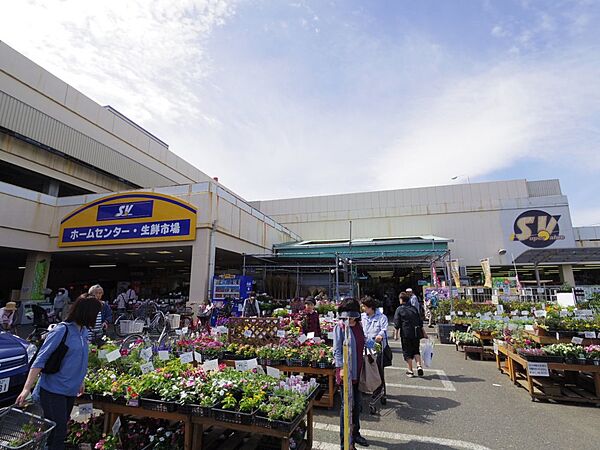 画像16:【スーパー】スーパーバリュー・練馬大泉店まで528ｍ