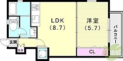 フローラ西宮北口 2階/-