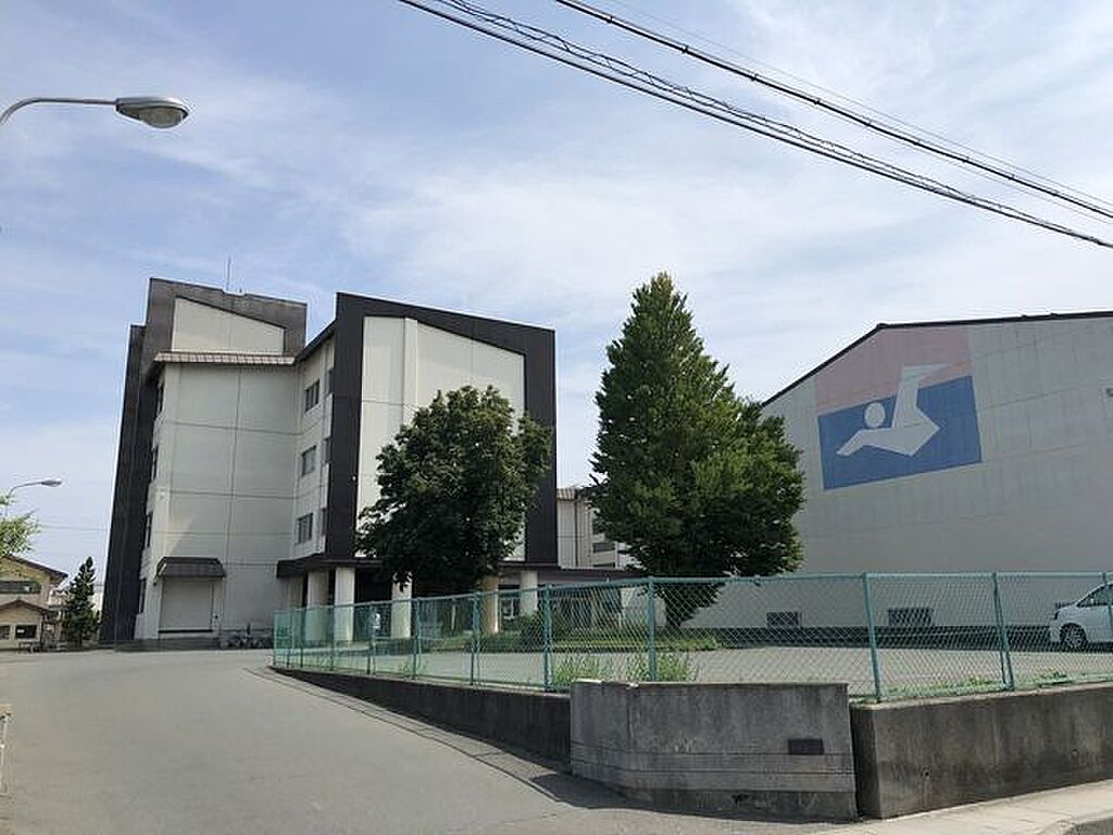 Image 8