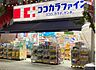 周辺：ココカラファイン尾山台店