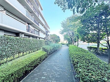 緑ある敷地内