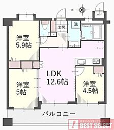 レクセル本川越 3LDKの間取図画像