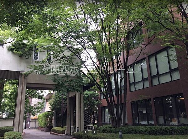 画像27:私立大阪国際大学短期大学部 1366m