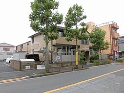 ステラ