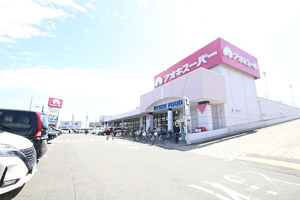 画像13:アオキスーパー　八田店