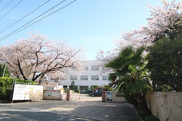 画像18:愛知県立熱田高等学校
