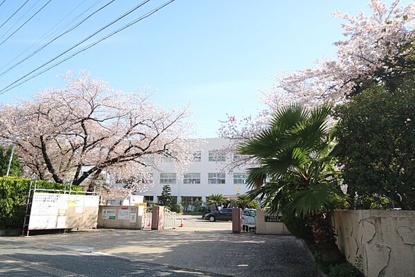 画像19:愛知県立熱田高等学校　体育館