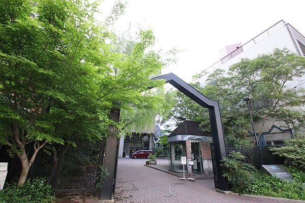 画像14:名古屋文化短期大学