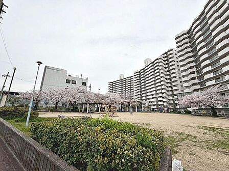 コープ深阪店まで徒歩10分!毎日のお買い物に便利ですね♪