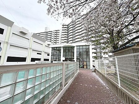 洗面室へはキッチンからと廊下からの2方向から出入りできるので、家事の効率も上がりますね♪