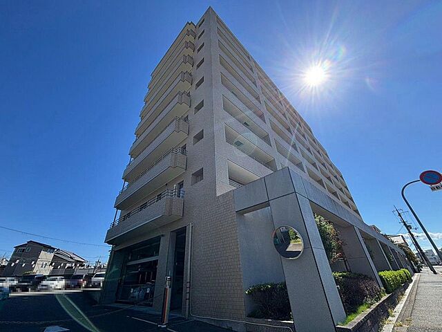 3 / 25
