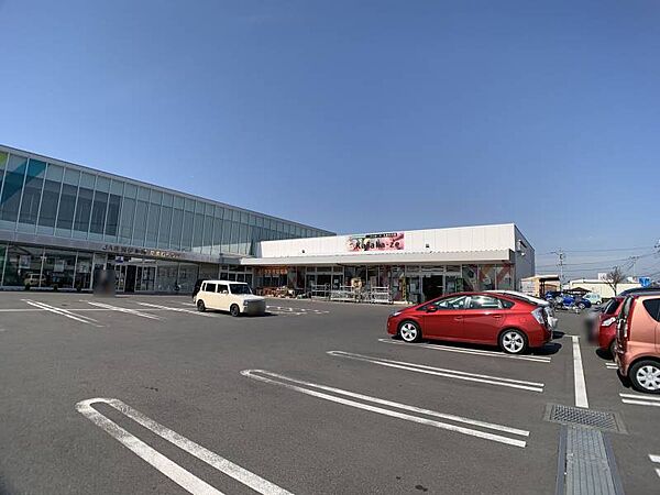 周辺を拡大表示