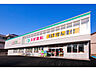 周辺：【ドラッグストア】スギ薬局　元車店まで761ｍ