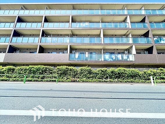 光り眩い羨望の...