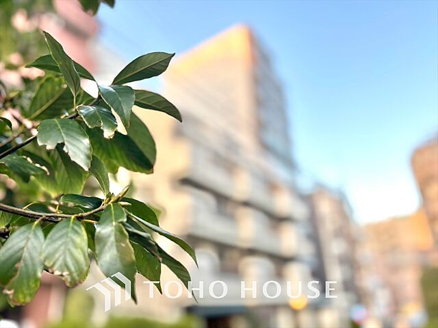 外観 武蔵関サンハイツ 3階/-