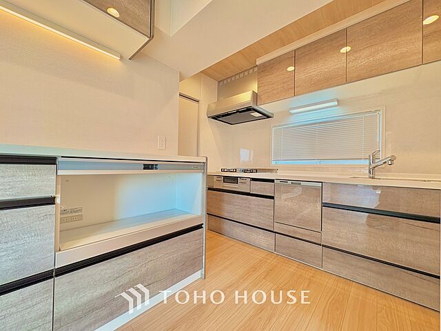 キッチン ハイネスロフティ 10階/-