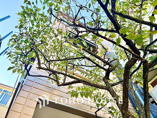 外観 豊島区南長崎4丁目