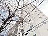 外観：【APPEARANCE】◆眩い◆光が燦々と入り、家族の笑顔を照らす。「いつまでも続いて」と願う夢のような毎日がここにある。
