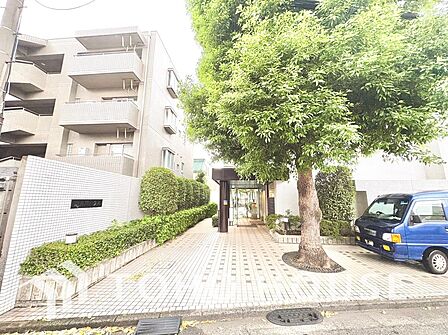【前面道路】前面道路の様子。周辺は穏やかな住宅街で落ち着いた暮らしが叶う環境です。