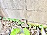 室内：【悠久の時】家族への思いを抱きながら、平和に過ごす悠久の時。あたかかく感じるのは、日当たりだけではない。広く和やかに暮らせる空間と、家族の存在を噛みしめて