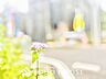 その他：【Urban Comfort、 Modern grace】都市の利便性と落ち着いた住環境。洗練された暮らしを叶える住まい