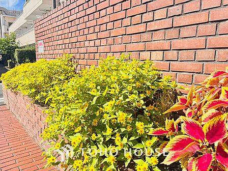 ここからは空が遠くまで見える。紺碧、曇天、茜色。心もともに映り変わる。東京にもあったんだ。こんな景色が・・・。