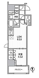 SEASONFLATS新御徒町 1LDKの間取図画像